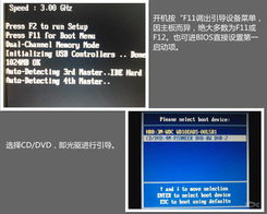 掌握核心技能 從電腦軟硬件基礎(chǔ)到研發(fā)進(jìn)階的在線培訓(xùn)之路