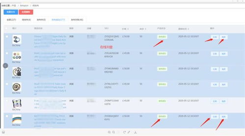 懷化地區蝦皮（Shopee）上貨軟件貼牌定制與采集工具技術服務解析